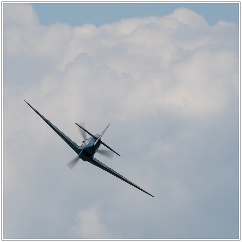 la ferte alais 2015_2-56.jpg